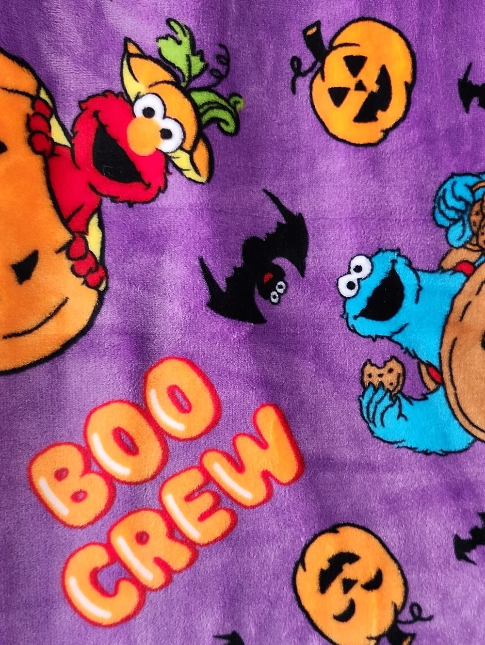 Sesame Street Purple Halloween 'Boo Crew' Plush Throw Blanket